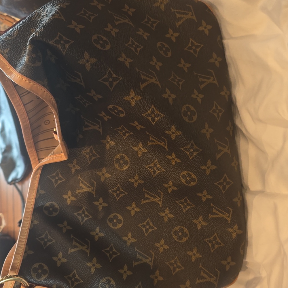 Louis Vuitton purse